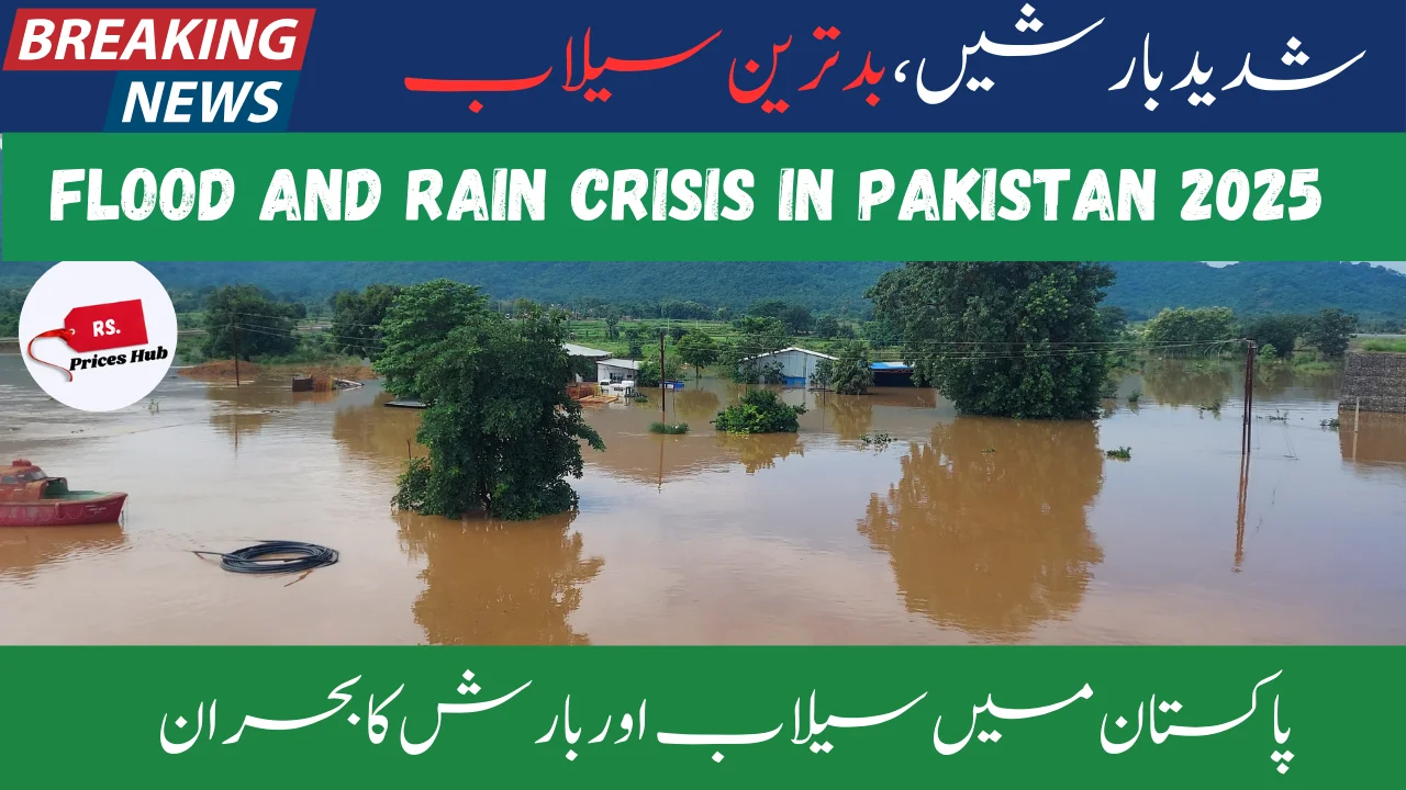 Flood and Rain Crisis in Pakistan 2025