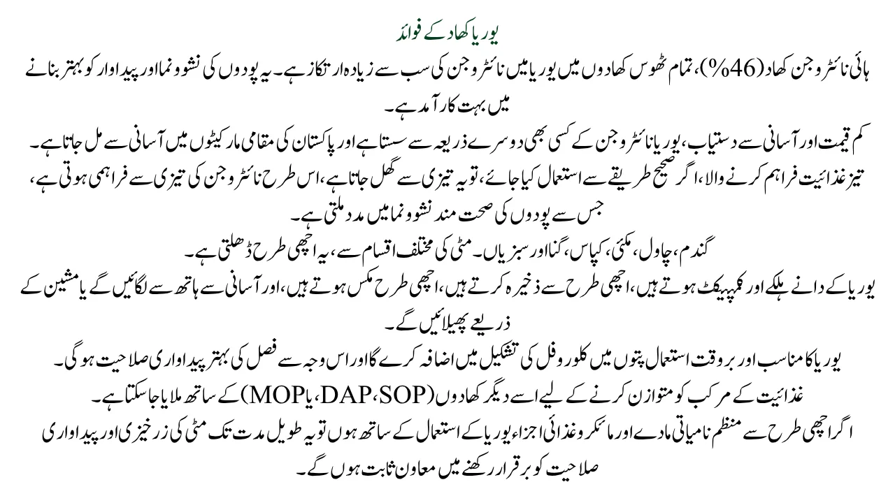 Benefits of Urea Fertilizer