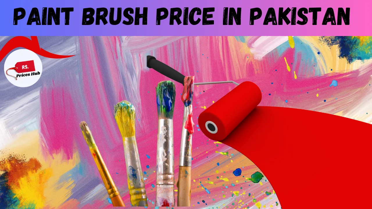 Paint Brush Price in Pakistan