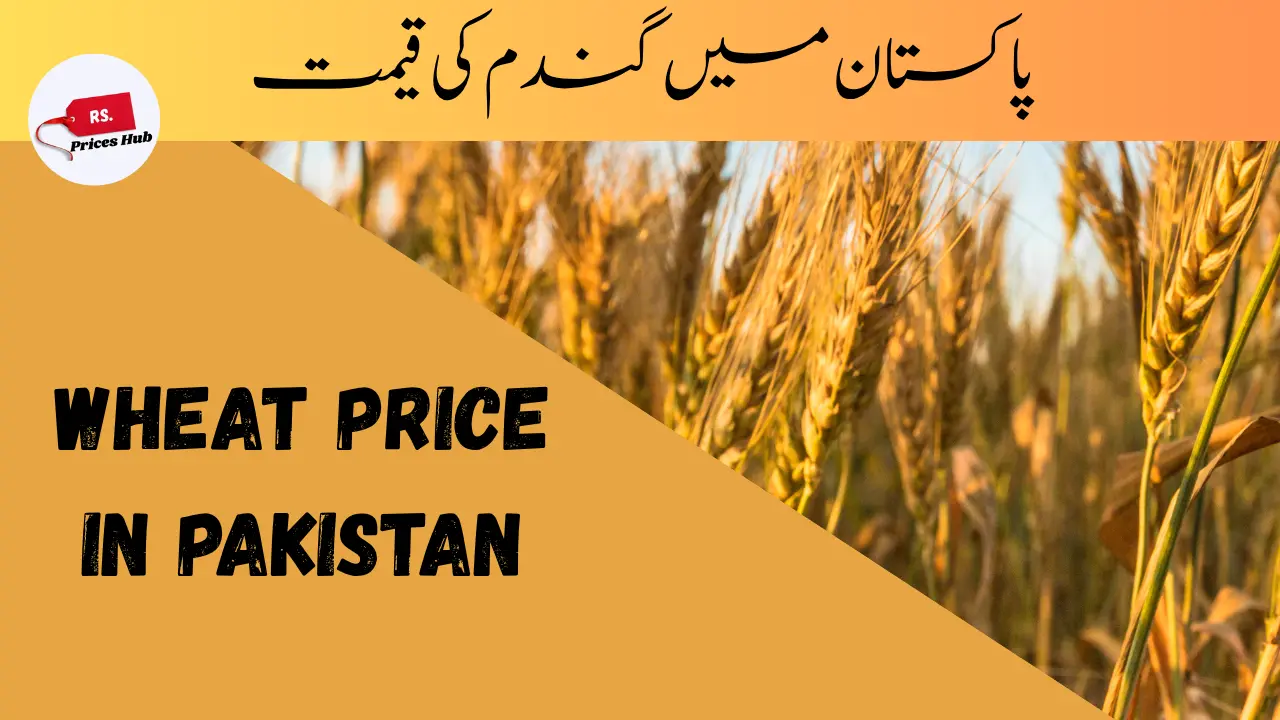 Wheat Price in Pakistan