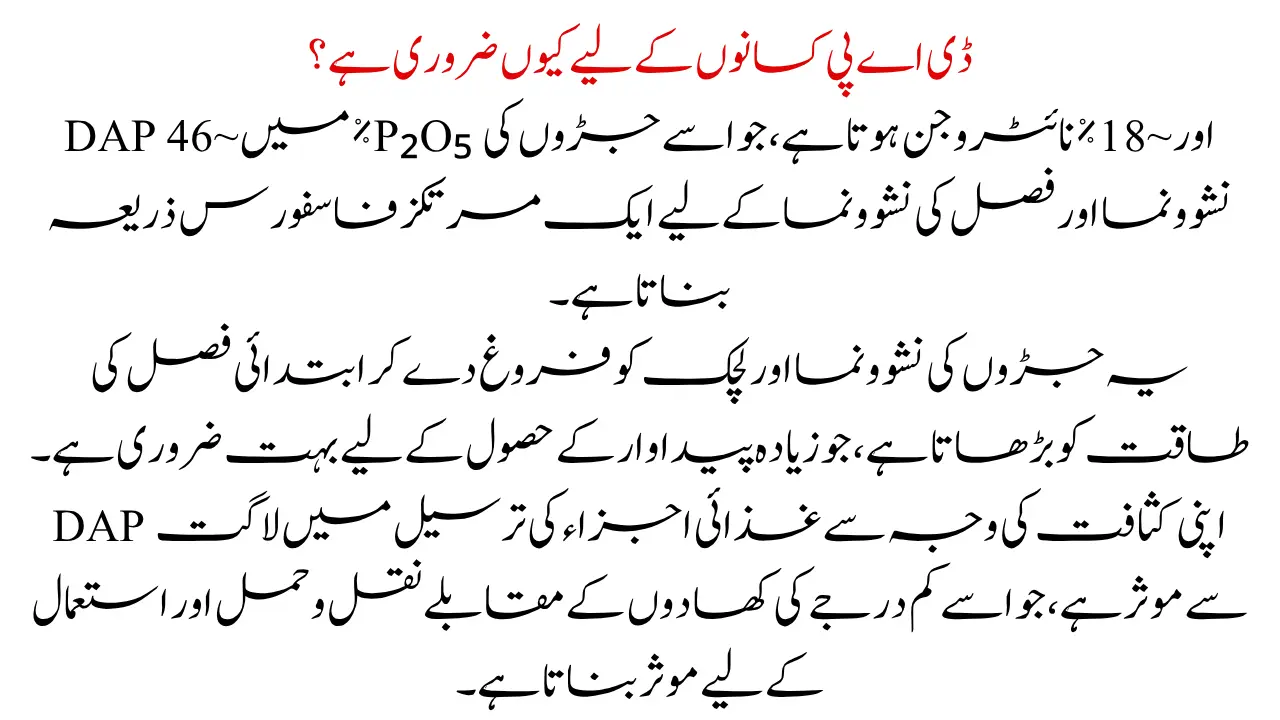 Why DAP Is Important