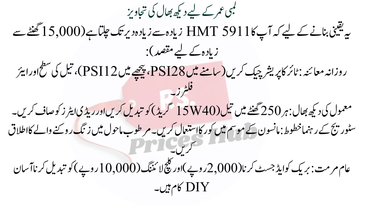 Maintenance Tips for Longevity